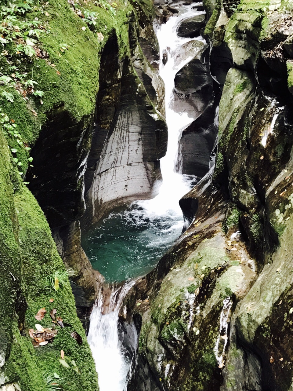 2019亚木沟风景区_旅游攻略_门票_地址_游记点评,铜仁