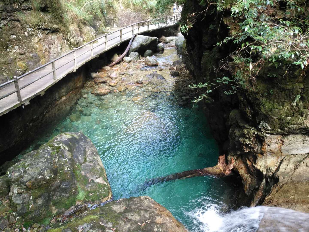武义牛头山国家森林公园好玩吗,武义牛头山国家森林样
