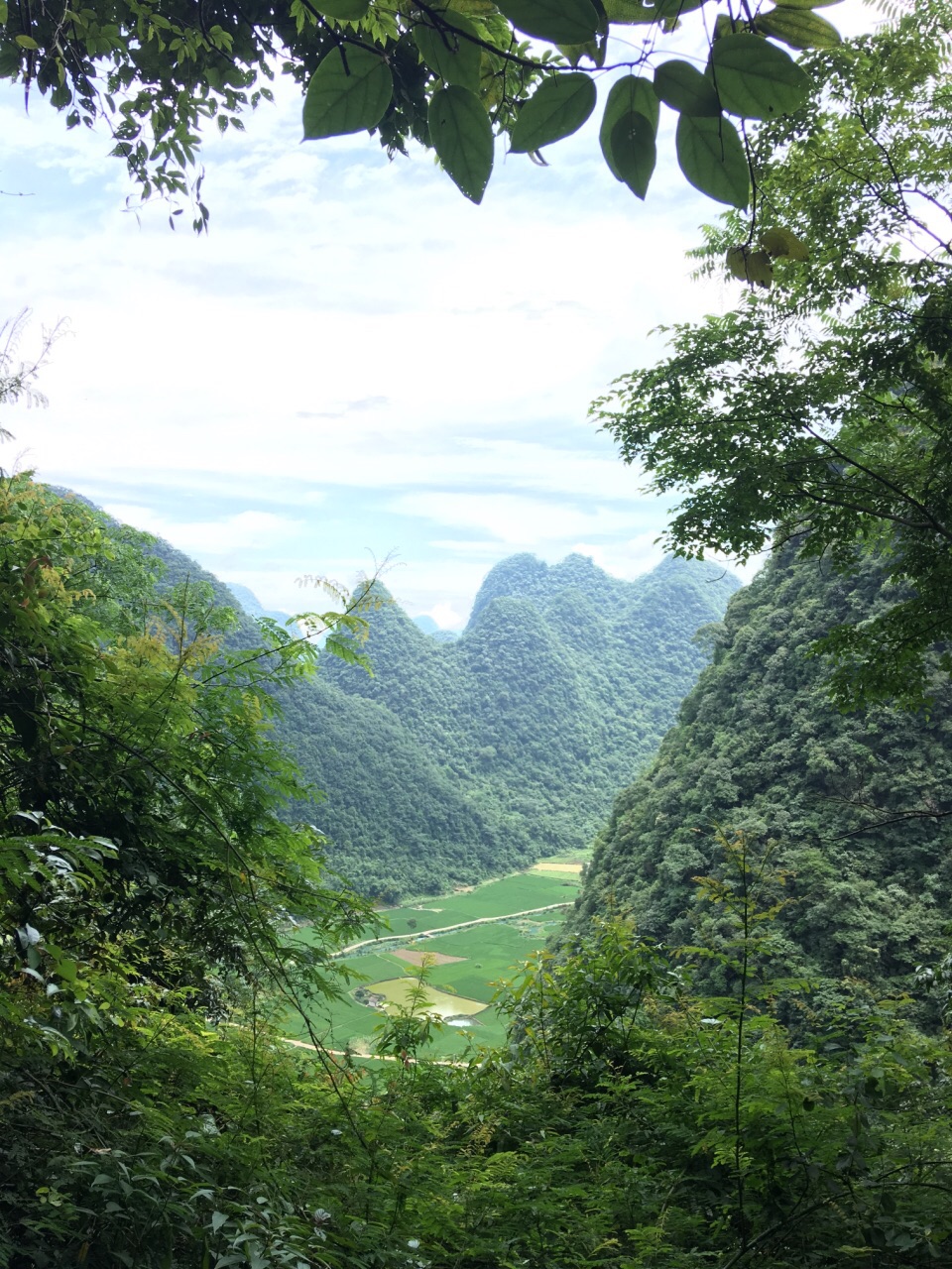 荔波茂兰国家级自然保护区