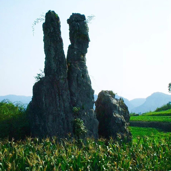 慈 母 背 子诗/郁博士香炉山下梦依依,母子痴情化石矶.