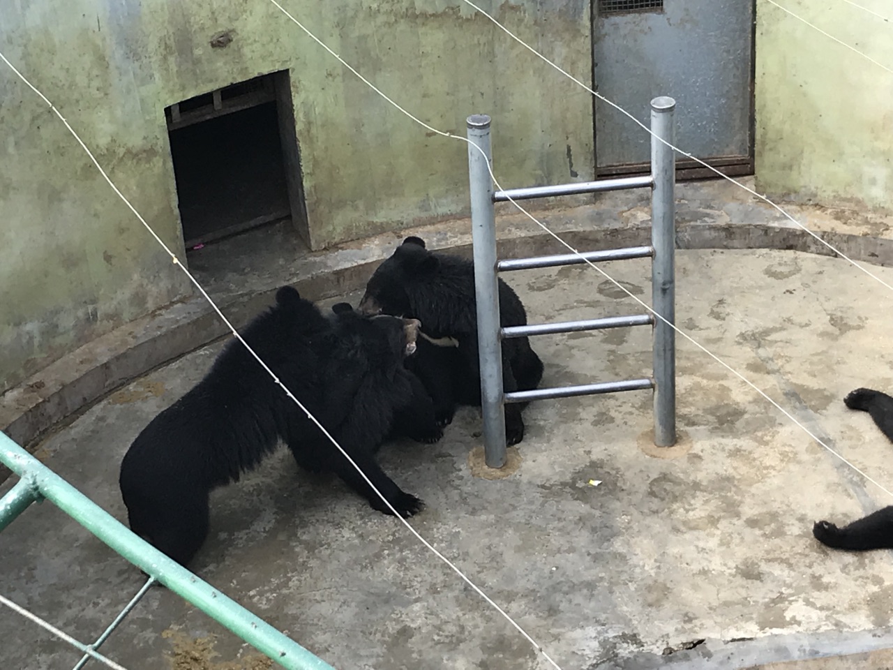 永记生态园