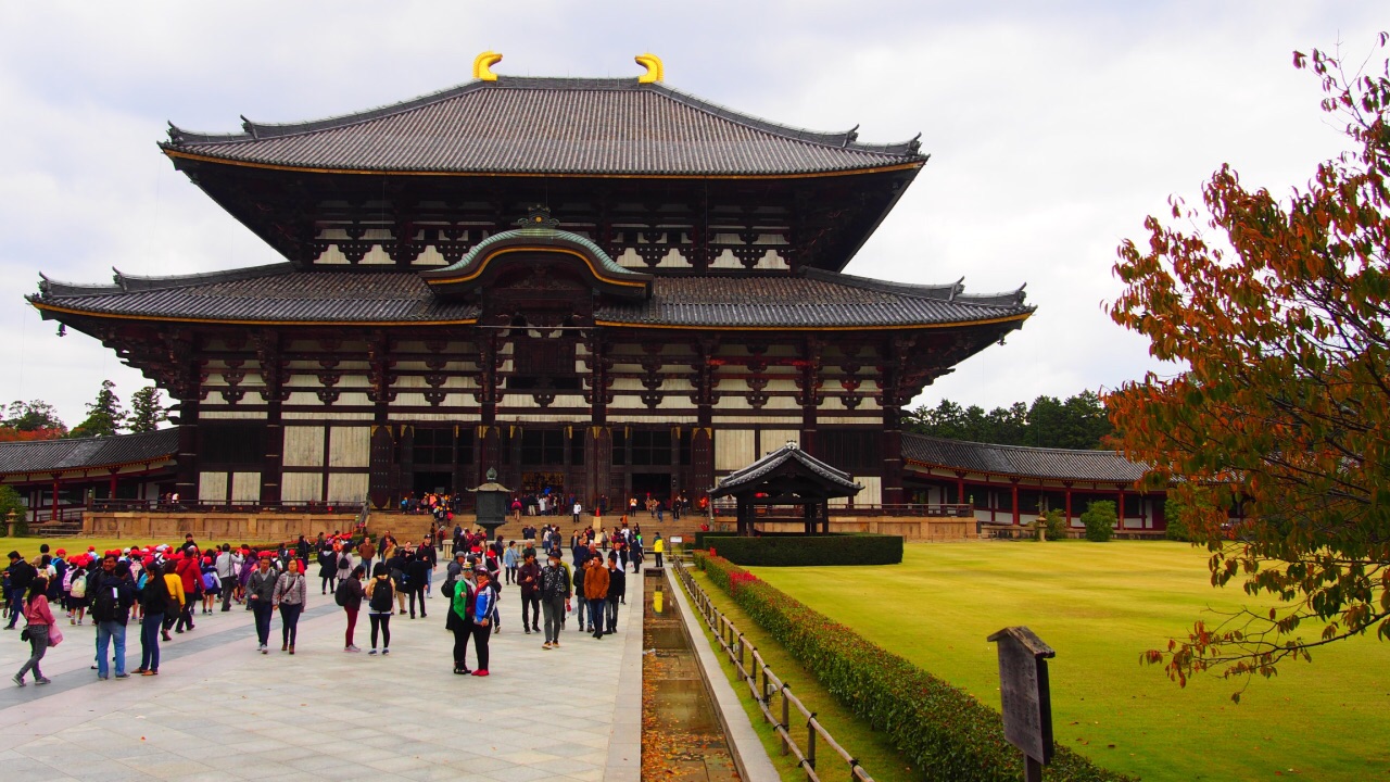 2019东大寺_旅游攻略_门票_地址_游记点评,奈良旅游