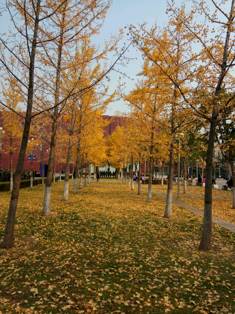 北京科技大学体育馆