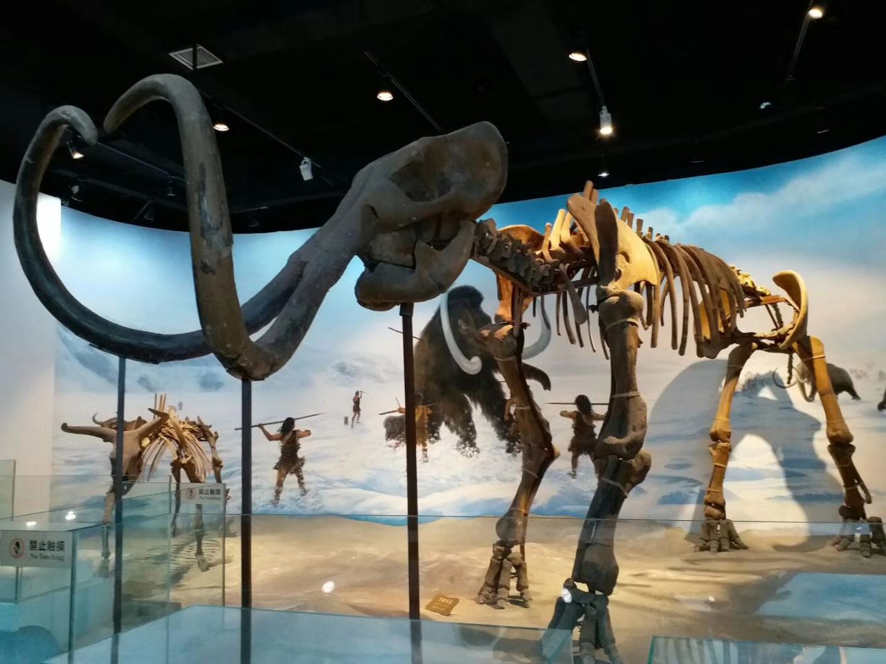 沈阳辽宁古生物博物馆好玩吗,沈阳辽宁古生物博物馆样