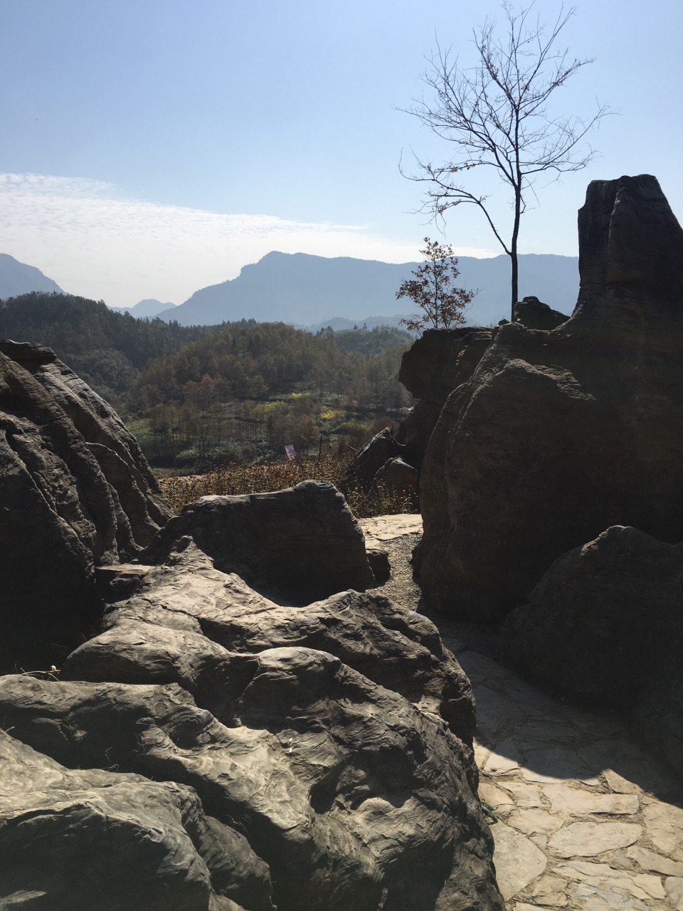 黟县西递石林景区好玩吗,黟县西递石林景区景点怎么样