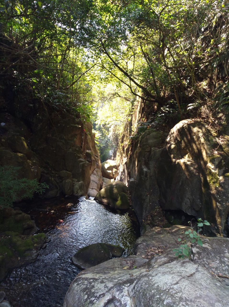 天马山生态旅游区