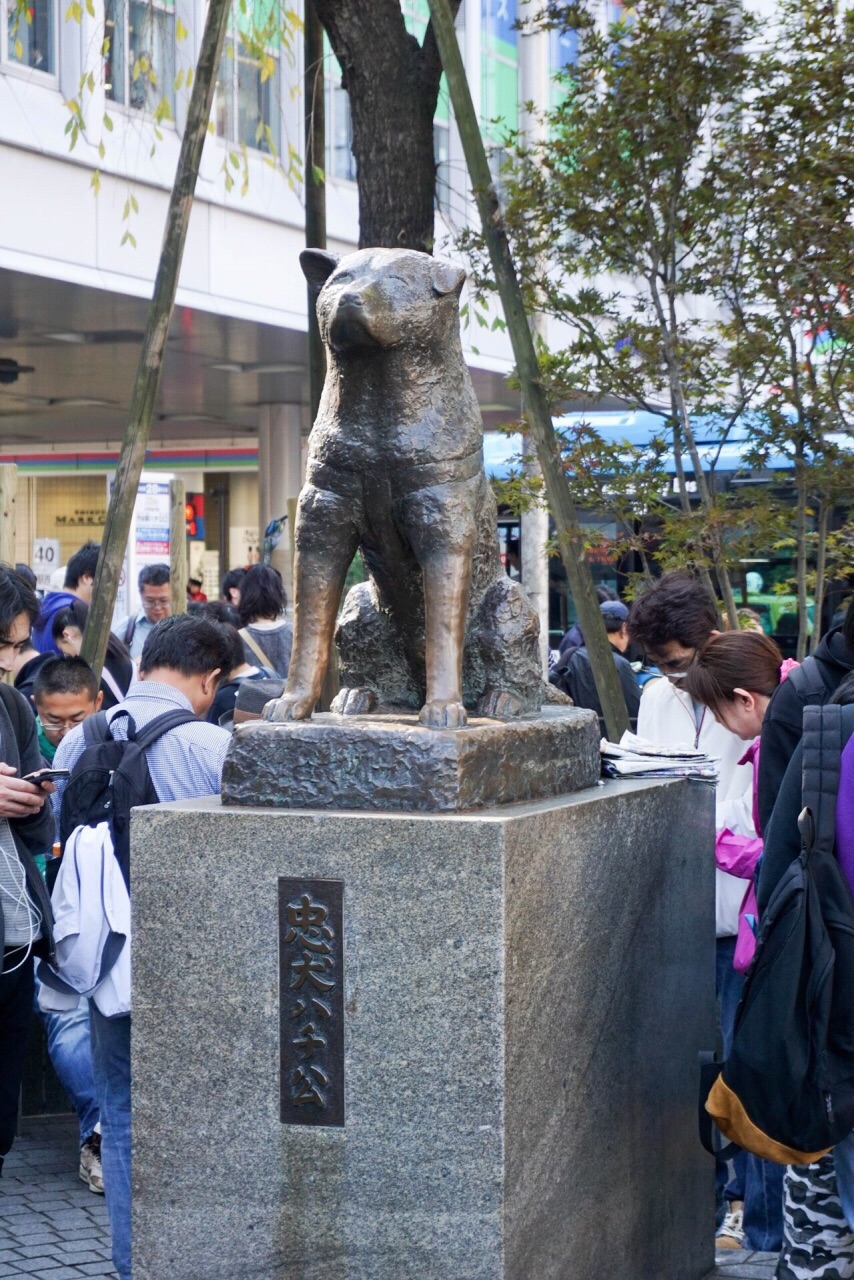 2019忠犬八公像_旅游攻略_门票_地址_游记点评,东京旅游景点推荐 - 去