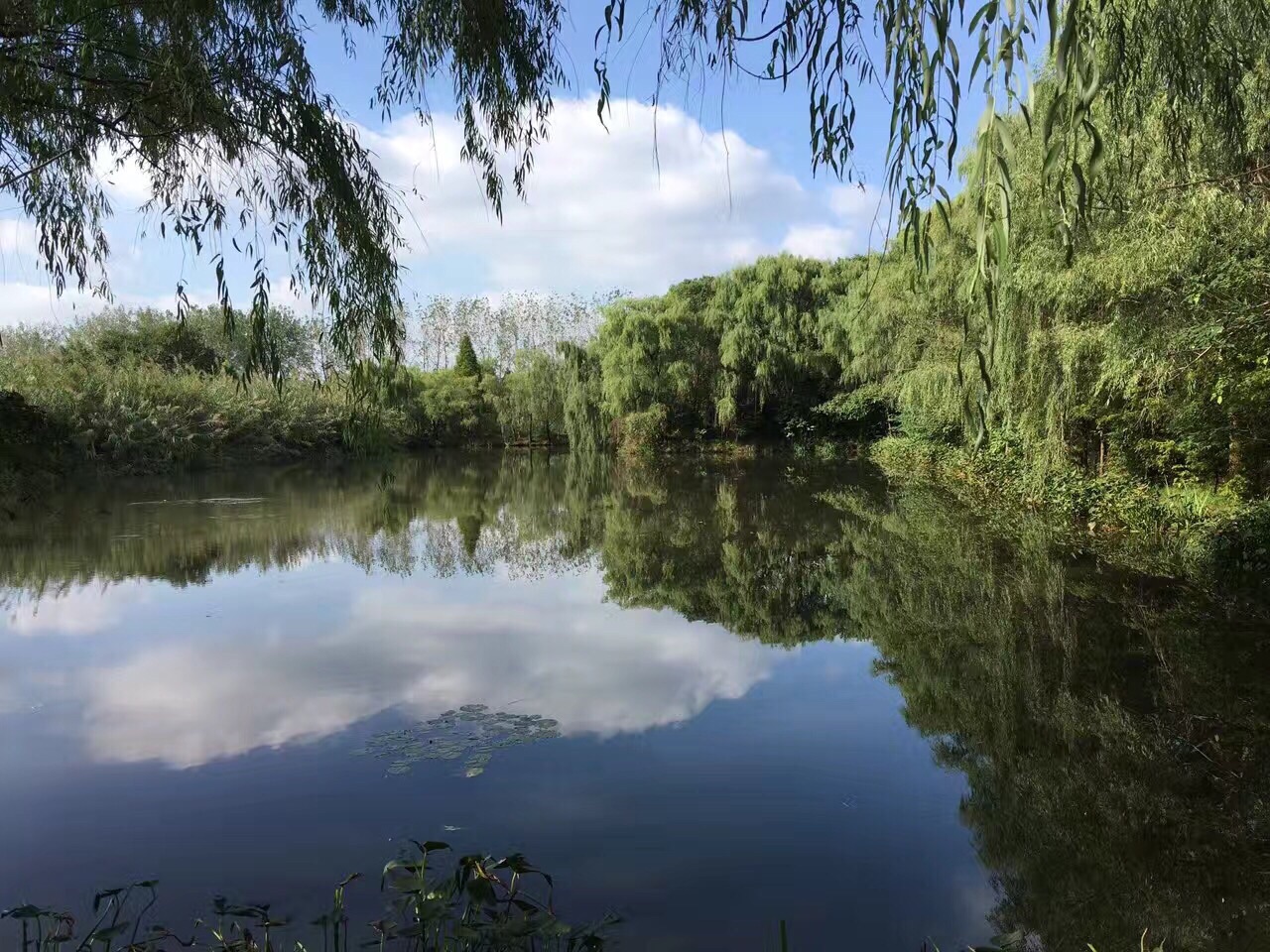 溱湖国家湿地公园旅游景点攻略图