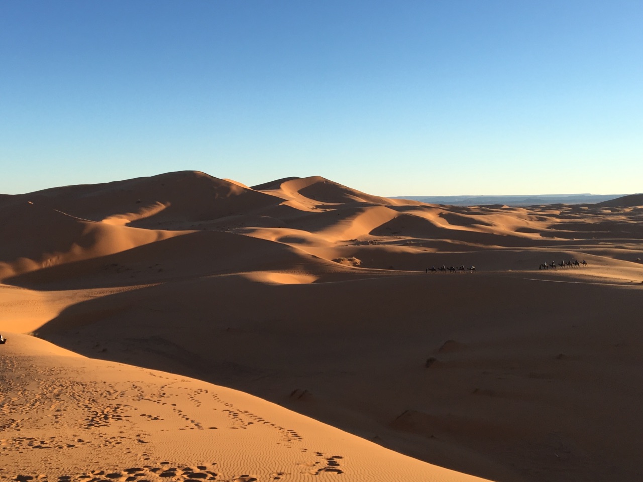 撒哈拉沙漠sahara desert