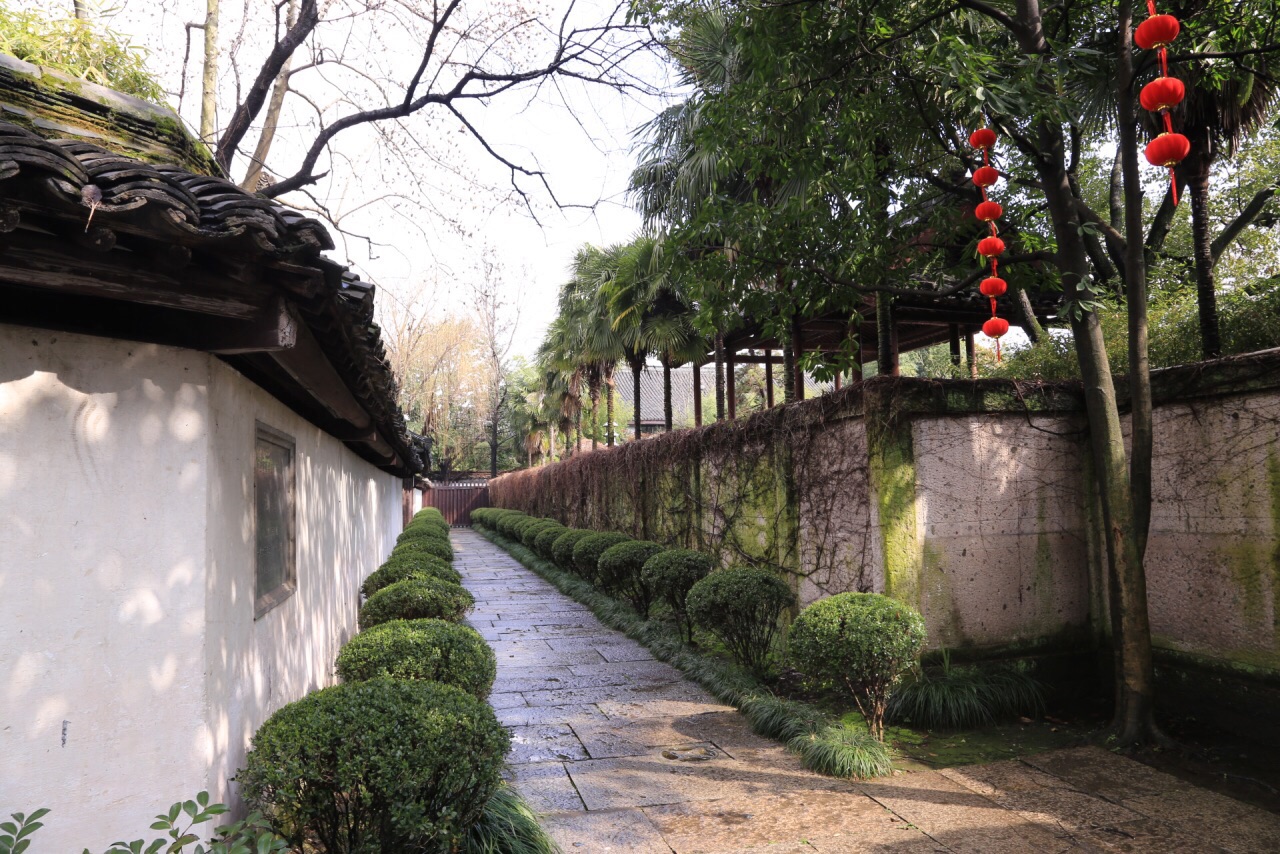 沈园分三处:沈氏园旧址(郭沫若题),东苑,南苑务观堂.