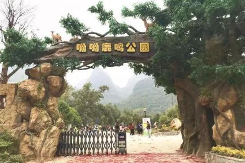 呦呦鹿鸣公园   分