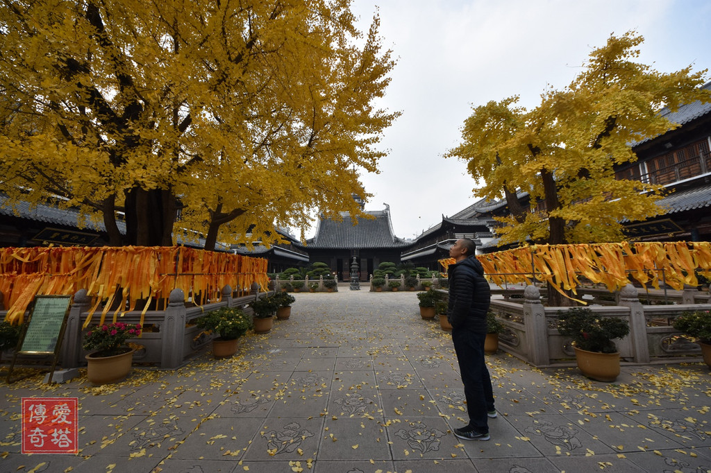 上海普陀真如寺大殿