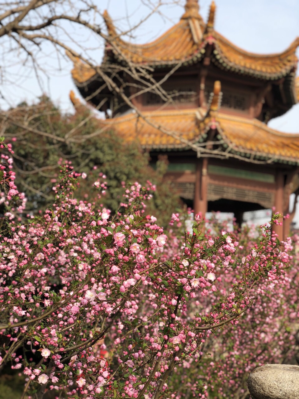 晴川历历汉阳树 芳草萋萋鹦鹉洲,跟爸妈一起去旅行,风景很美,黄鹤楼半