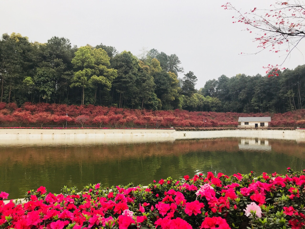 重庆南湖多彩植物园好玩吗,重庆南湖多彩植物园景点样