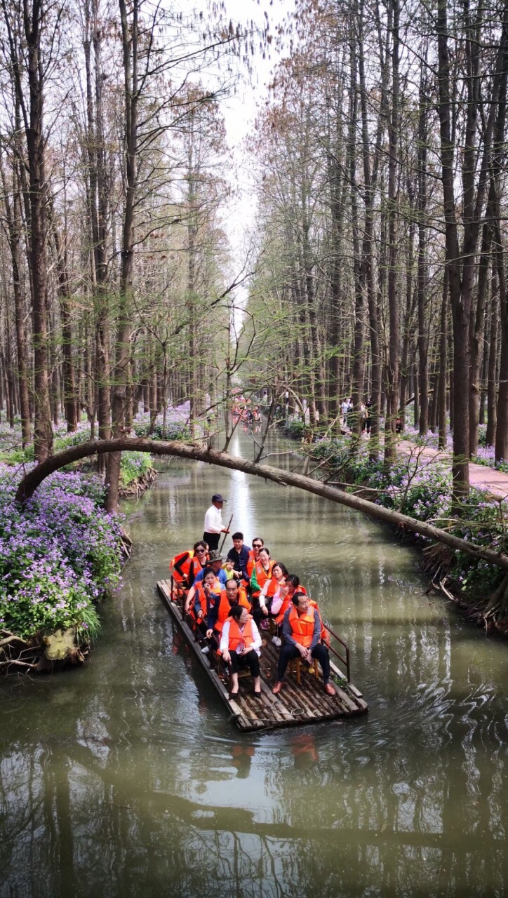 李中水上森林公园旅游景点攻略图