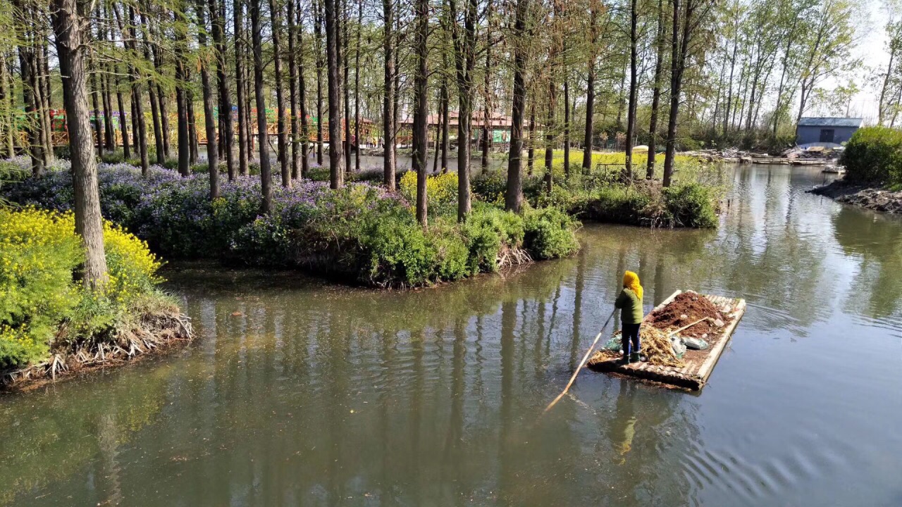 李中水上森林公园旅游景点攻略图