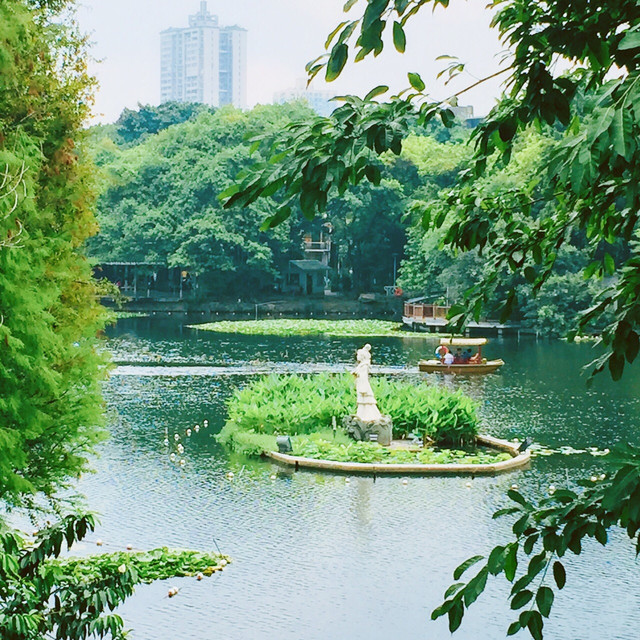 "一湾溪水绿,两岸荔枝红"的广州荔湾湖公园