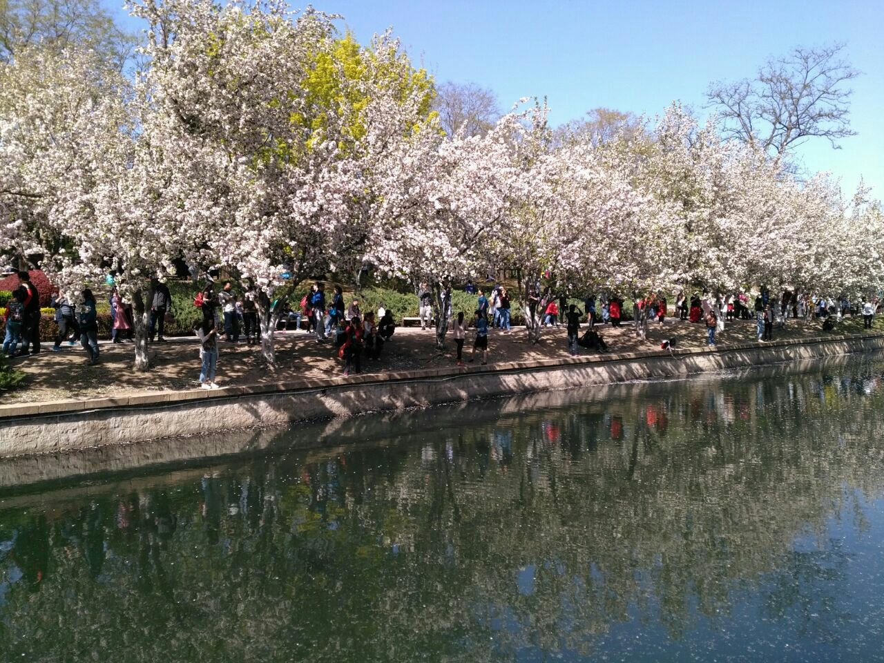 2019海棠花溪_旅游攻略_门票_地址_游记点评,北京旅游景点推荐 - 去