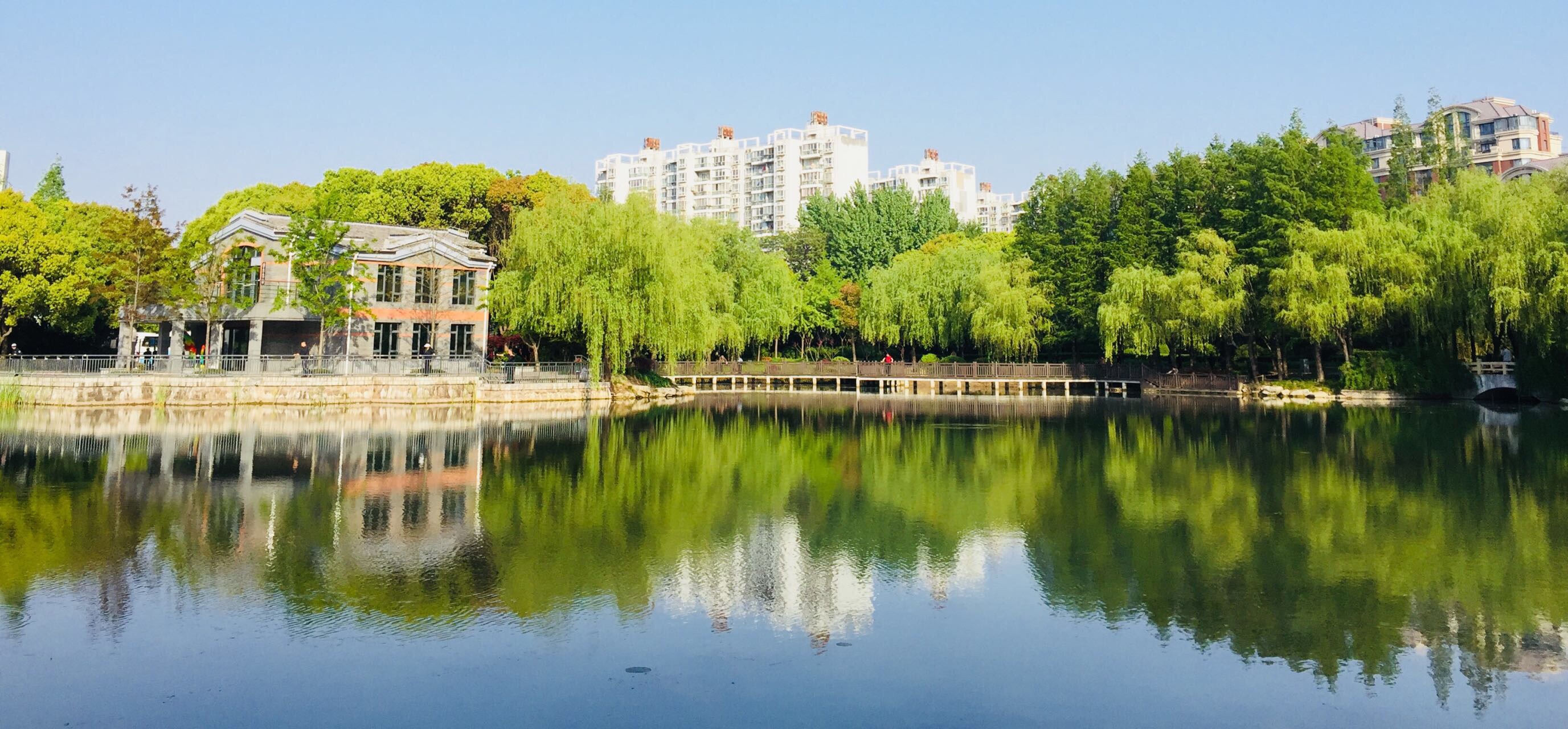 2022金桥公园游玩攻略,.免费公园,随不大,但是免.【去哪儿攻略】