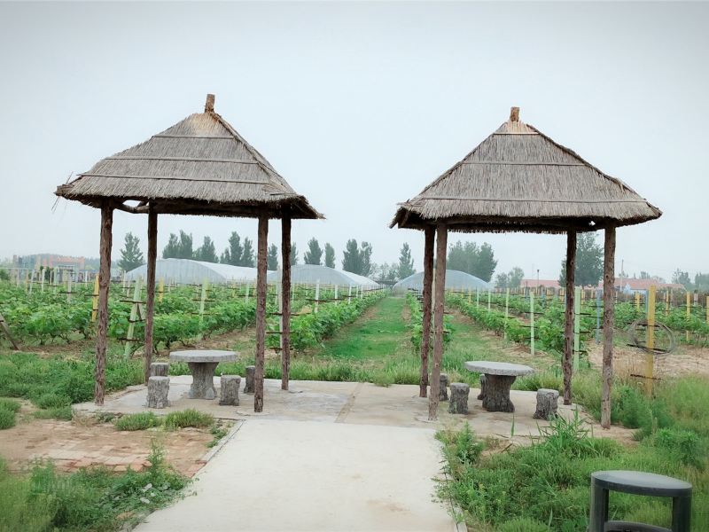 鹤鸣湖七彩庄园