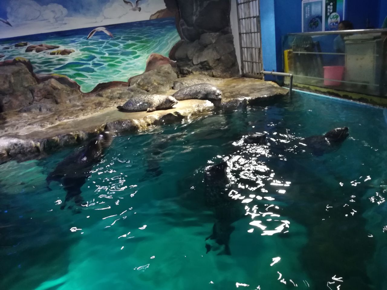 长沙海底世界旅游景点攻略图