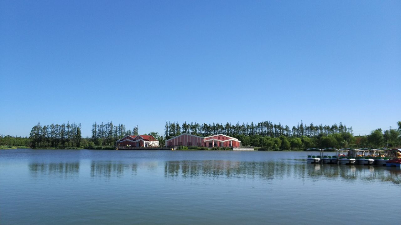 崇明区长兴岛郊野公园好玩吗,崇明区长兴岛郊野公园景点怎么样_点评