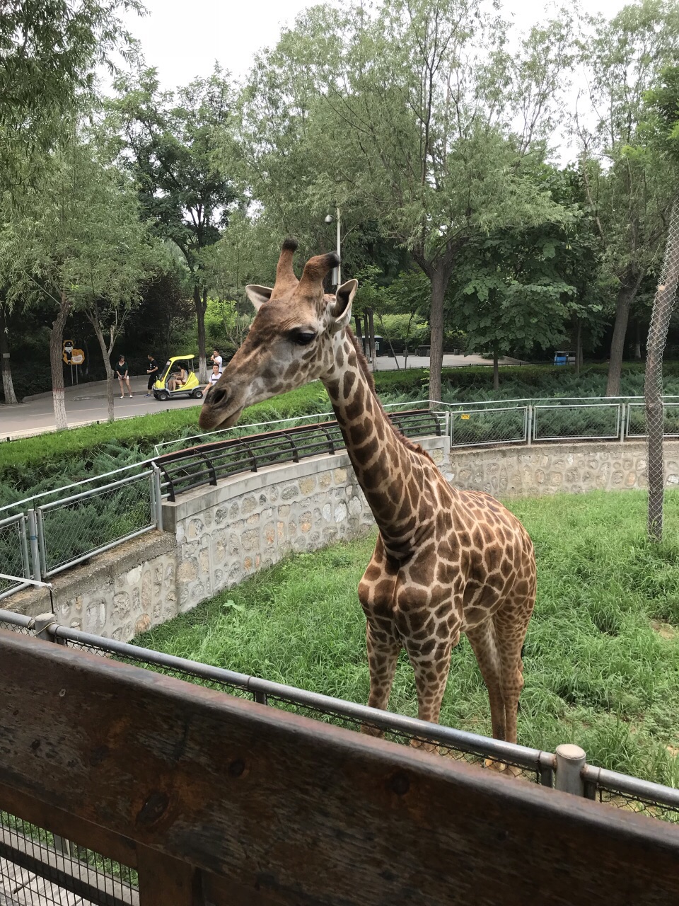 石家庄市动物园旅游景点攻略图