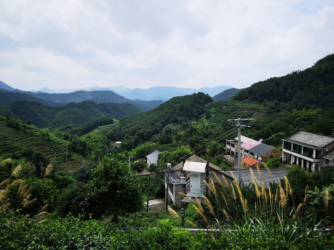 印象柯桥,慢漫游民宿村落之王坛镇丹家村