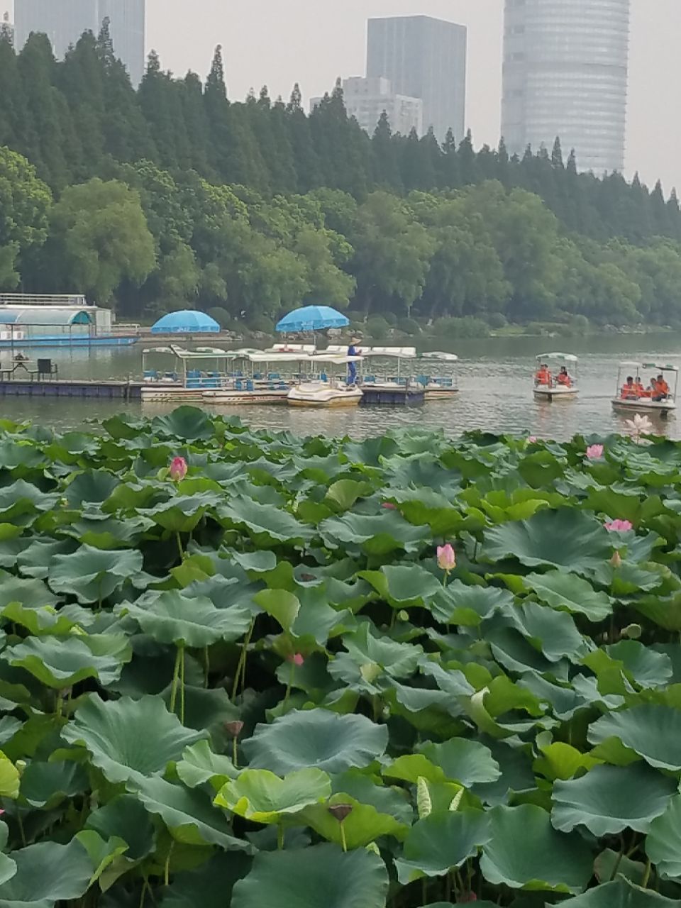 南京玄武湖游船旅游景点攻略图