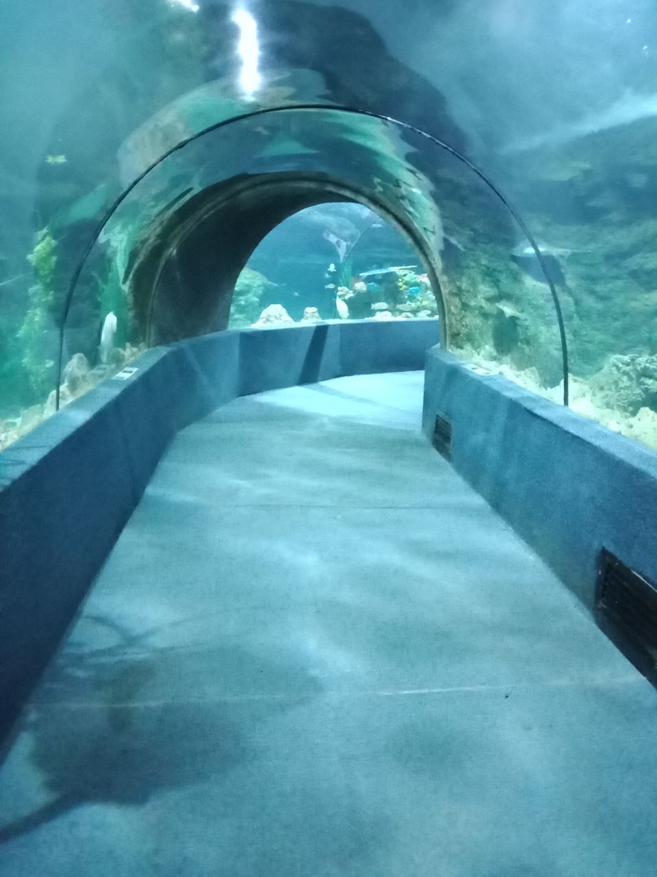 南昌海洋公园