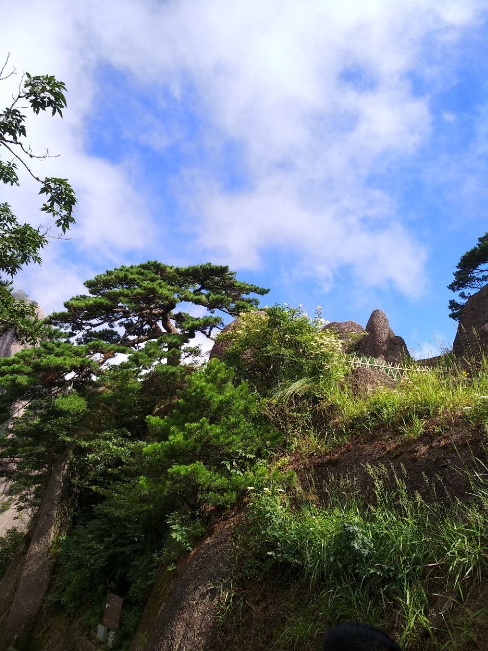 白鹅岭旅游景点攻略图