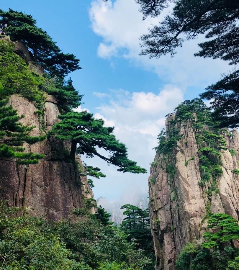 仙人飘海