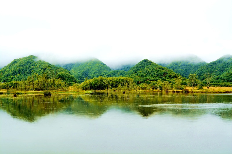 夏宁葆去湖北大九湖国家湿地公园