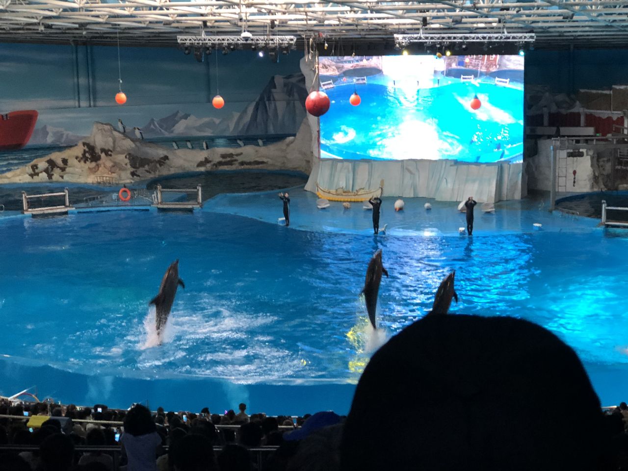 青岛海昌极地海洋公园