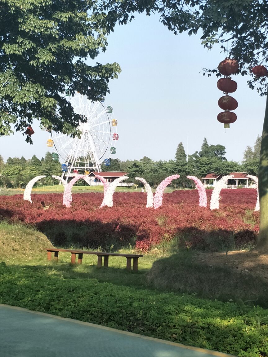 佛山梦里水乡百花园攻略,佛山梦里水乡百花园门票/游玩攻略/地址/图片