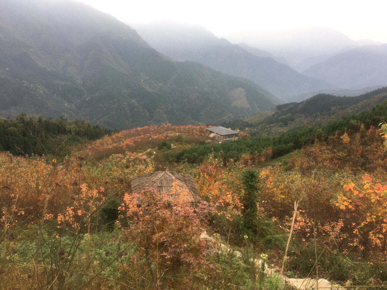 什邡川西红枫岭好玩吗,什邡川西红枫岭景点怎么样