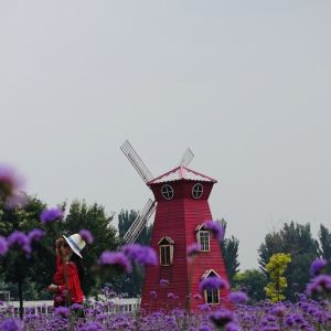 2019紫谷伊甸园_旅游攻略_门票_地址_游记点评,北京旅游景点推荐 去