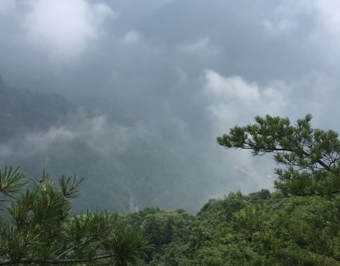 2019红河谷森林公园攻略,眉县红河谷森林公园a攻略v攻略213门票图片