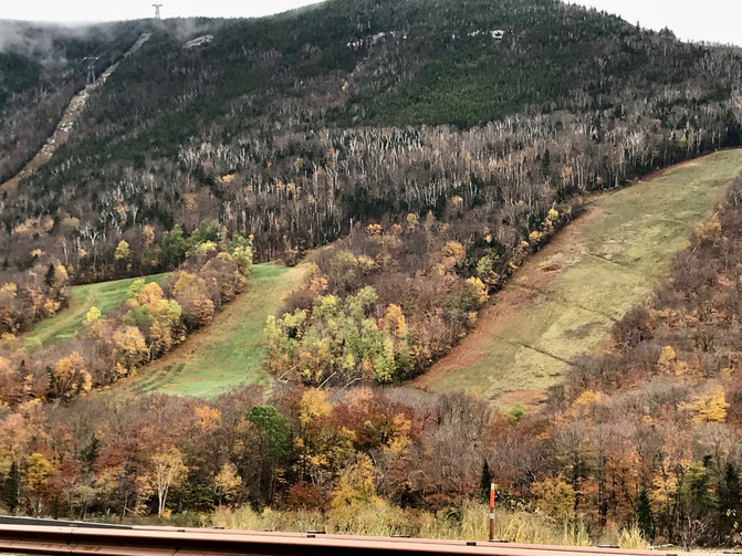 美国白山赏红叶遇初雪,风景美到神安排