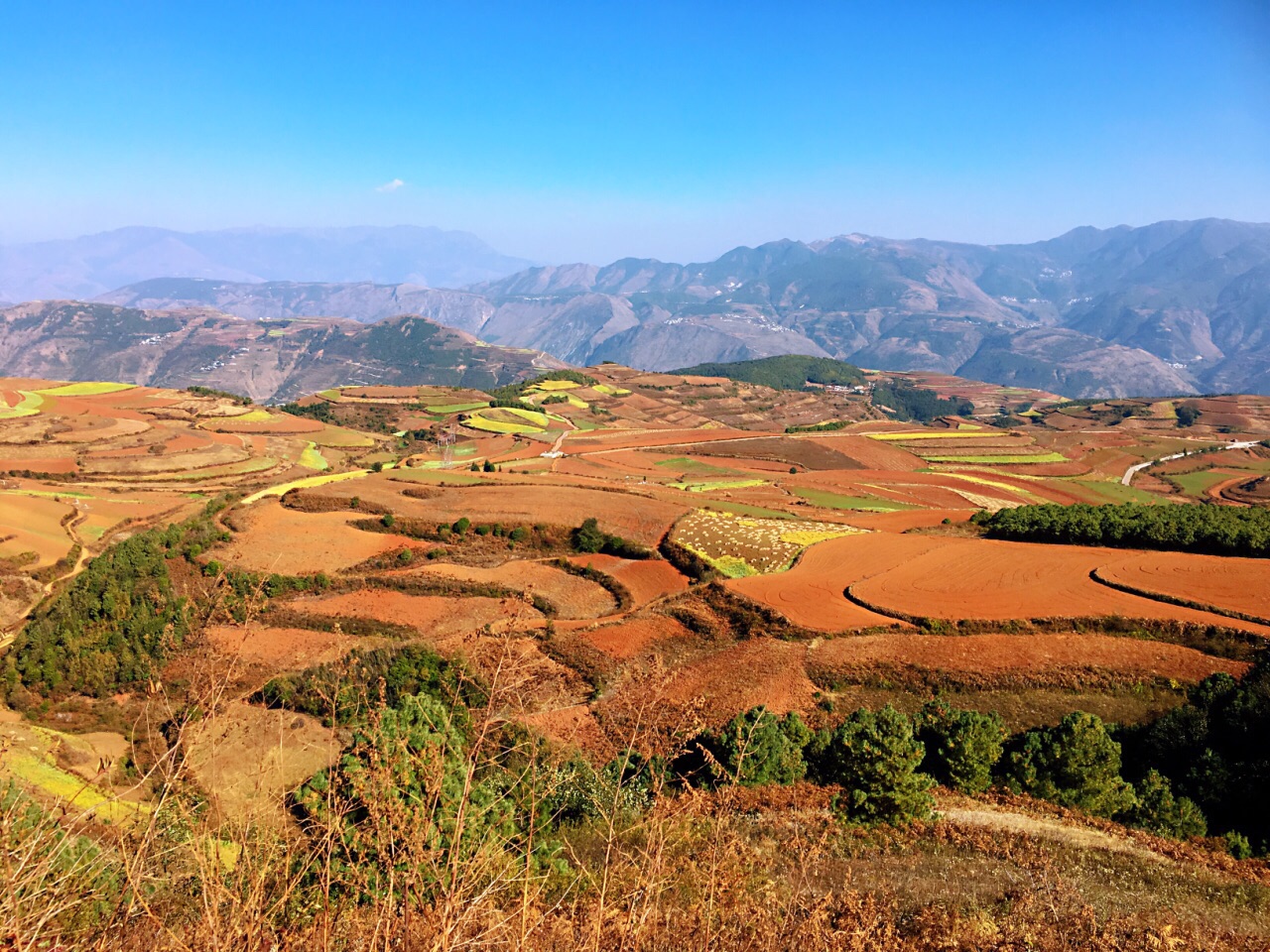 东川红土地旅游景点攻略图