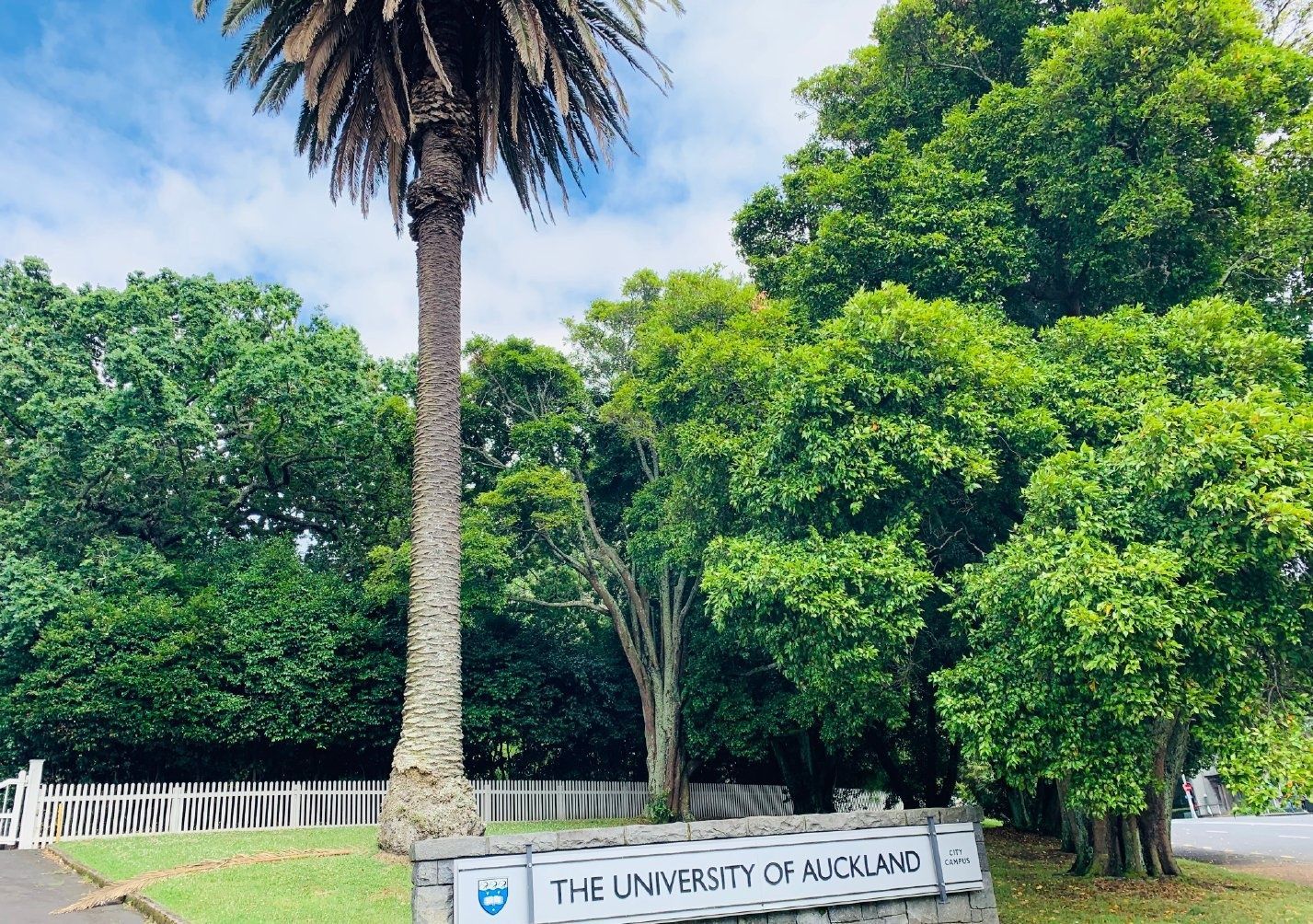 奥克兰大学