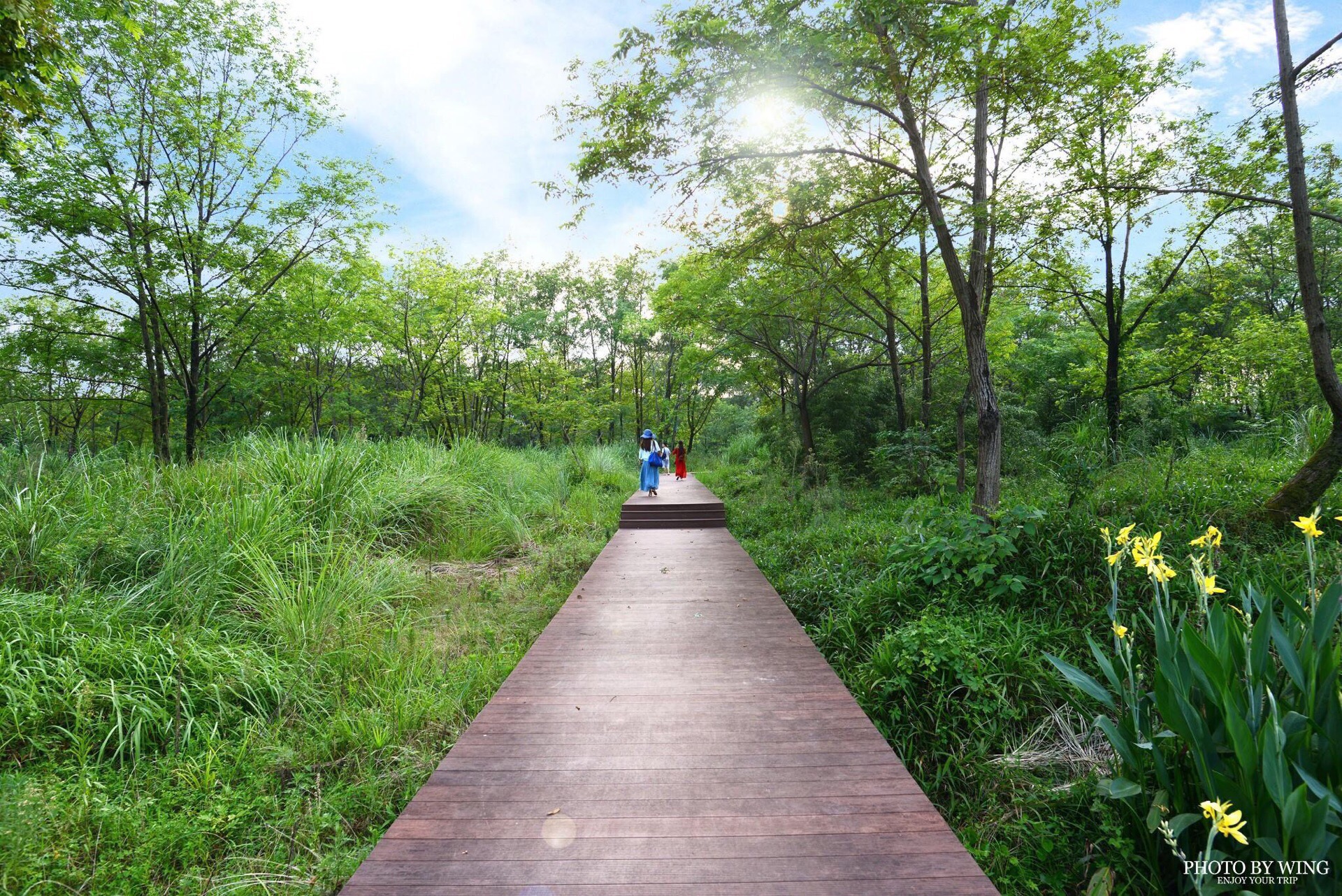 丽水九龙湿地攻略,丽水九龙湿地门票/游玩攻略/地址/图片/门票价格【