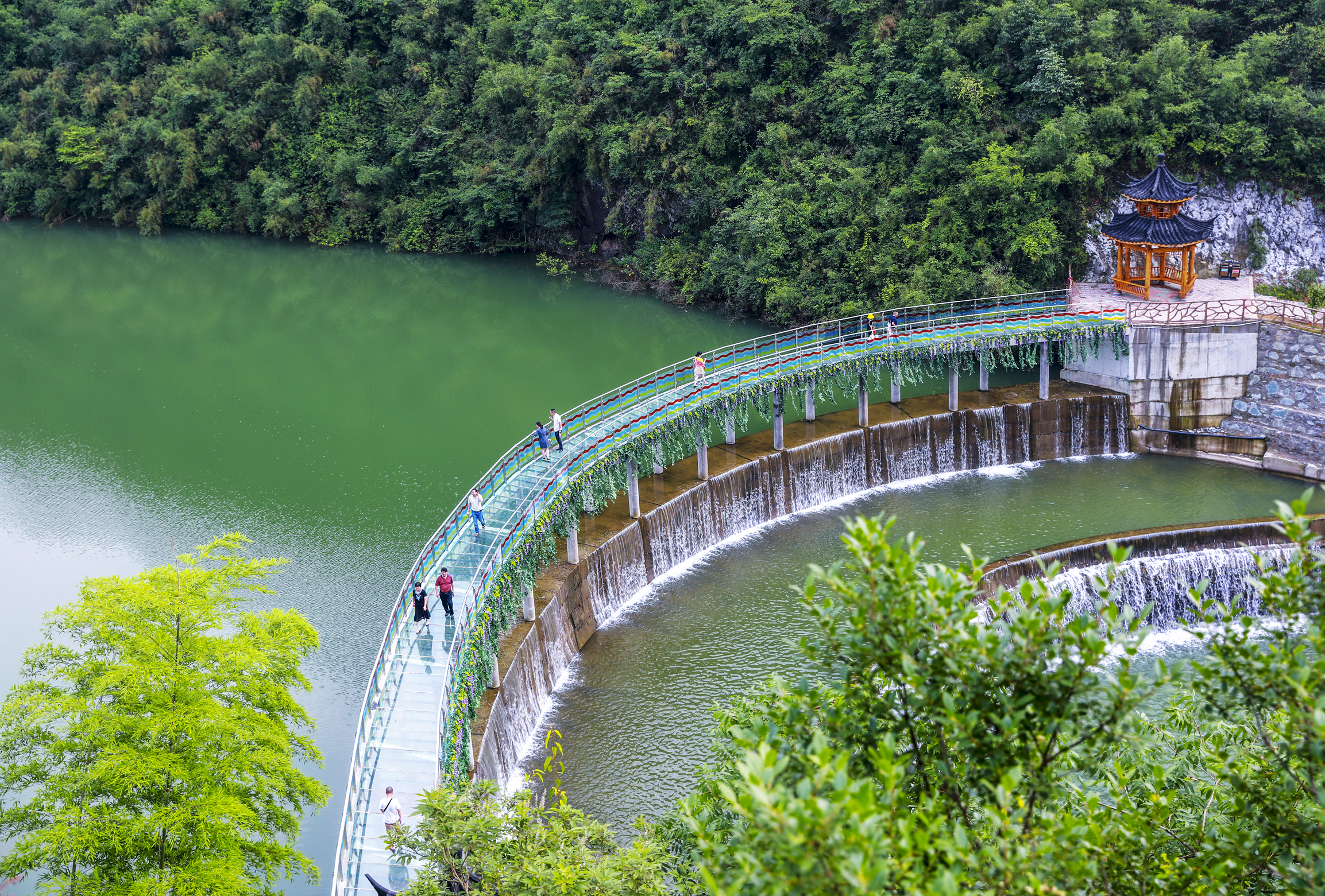 神秘长寿村