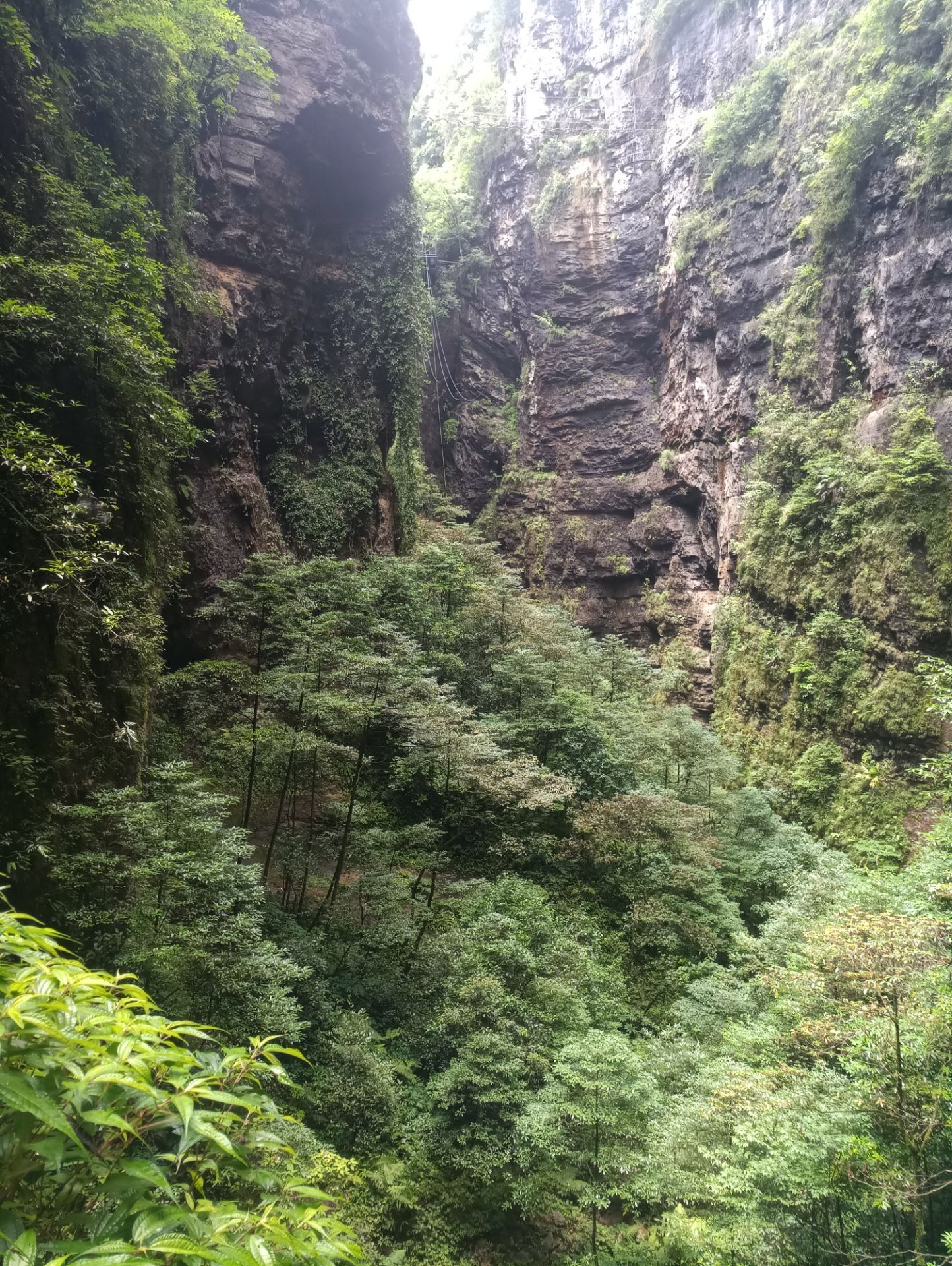 猴耳天坑风景区