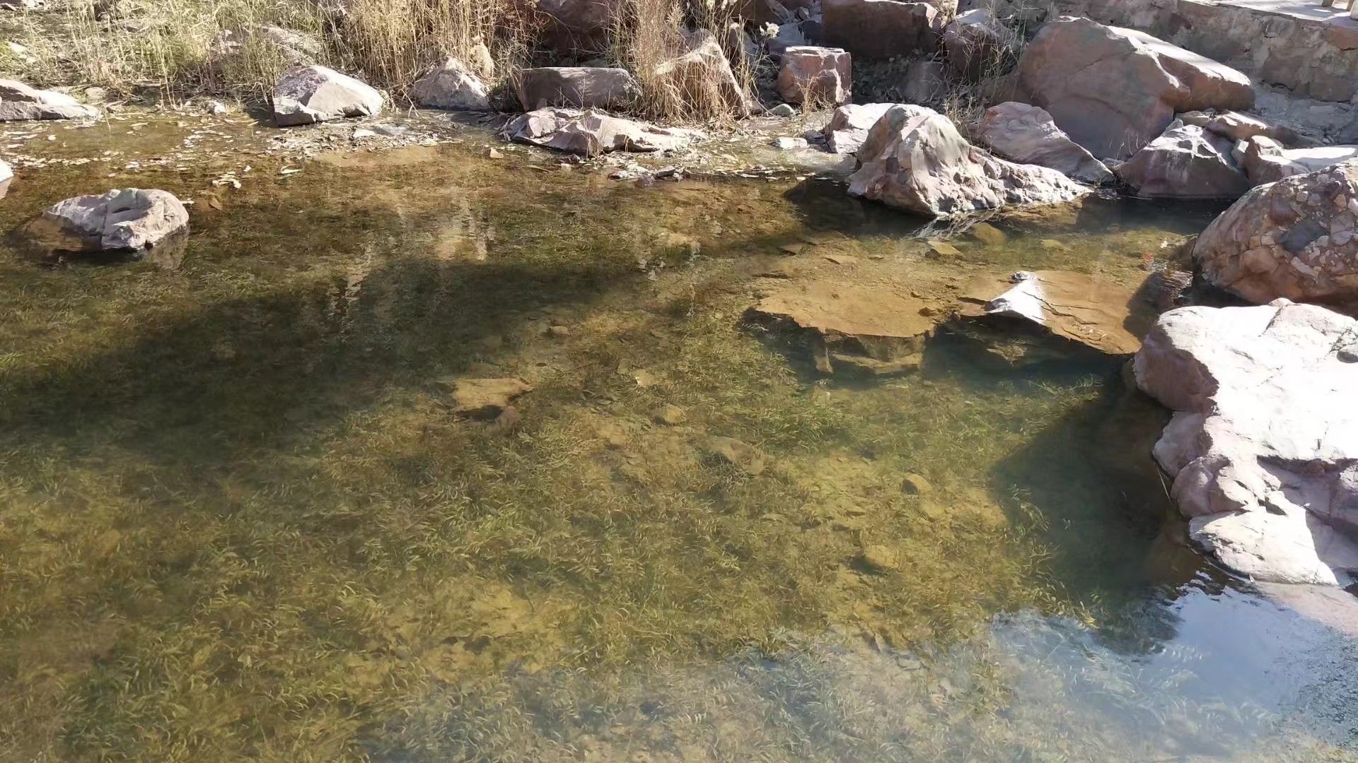 新密三泉湖景区攻略,新密三泉湖景区门票/游玩攻略