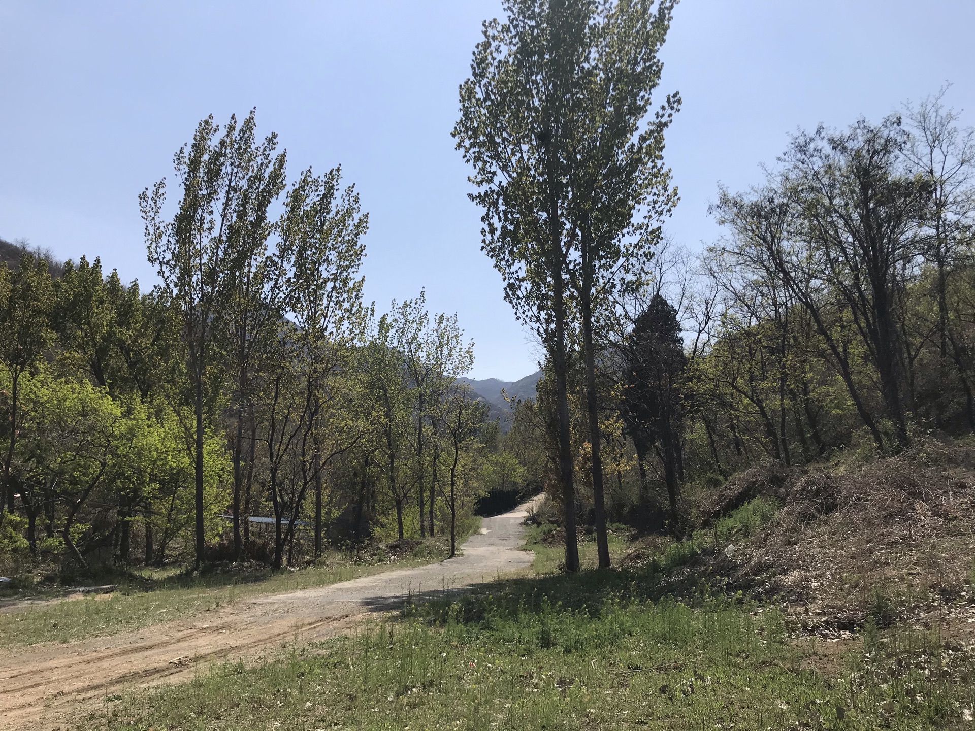 【携程攻略】邹平鹤伴山景点,时节,刚下过雨,空气特别清新,野