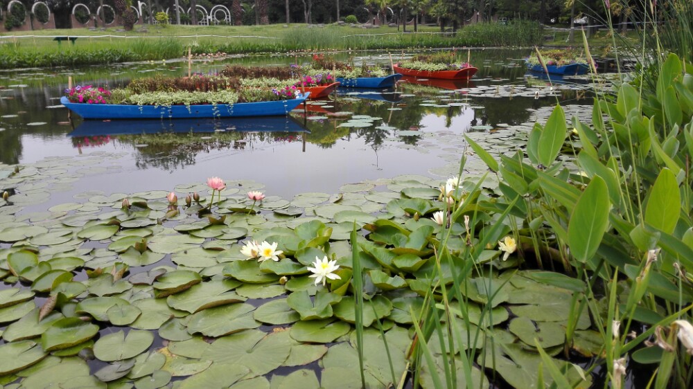 上海植物园