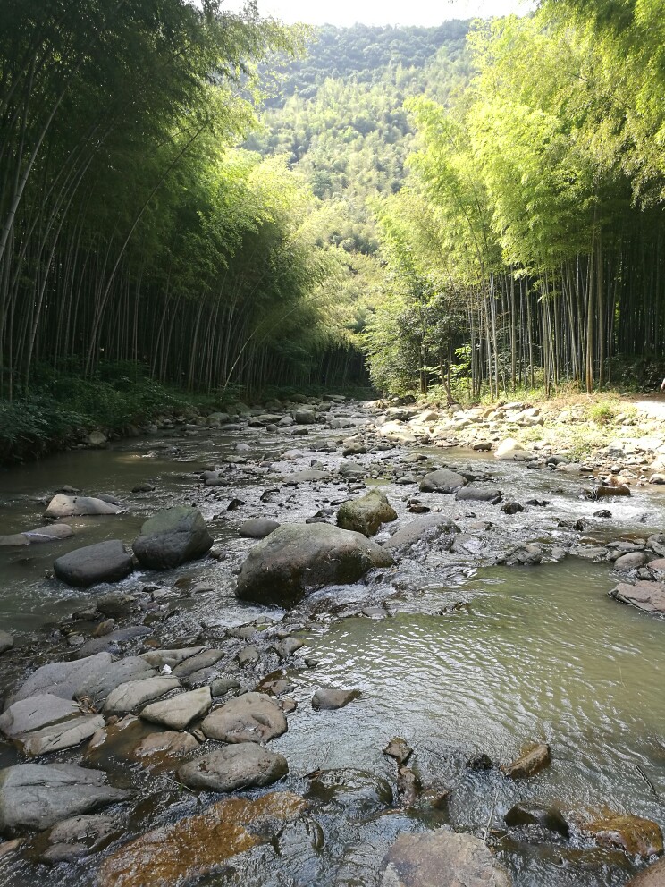 【携程攻略】宁波浙东大竹海景区景点,总体不错,环境