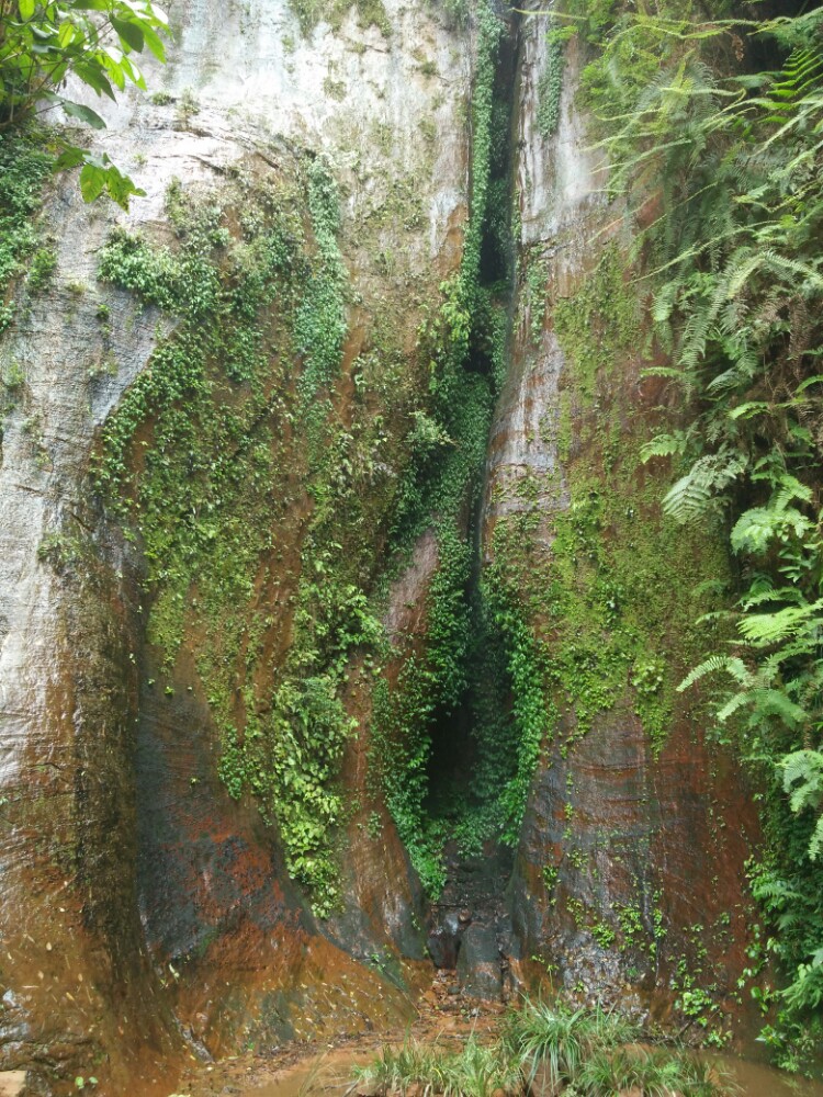赤水丹霞旅游区·燕子岩