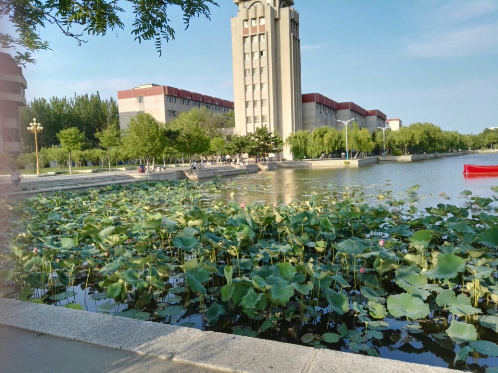 烟台大学